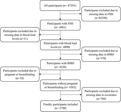 Follicle-stimulating hormone and blood lead levels with bone mineral density and the risk of fractures in pre- and postmenopausal women